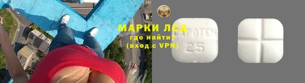ешки Белокуриха